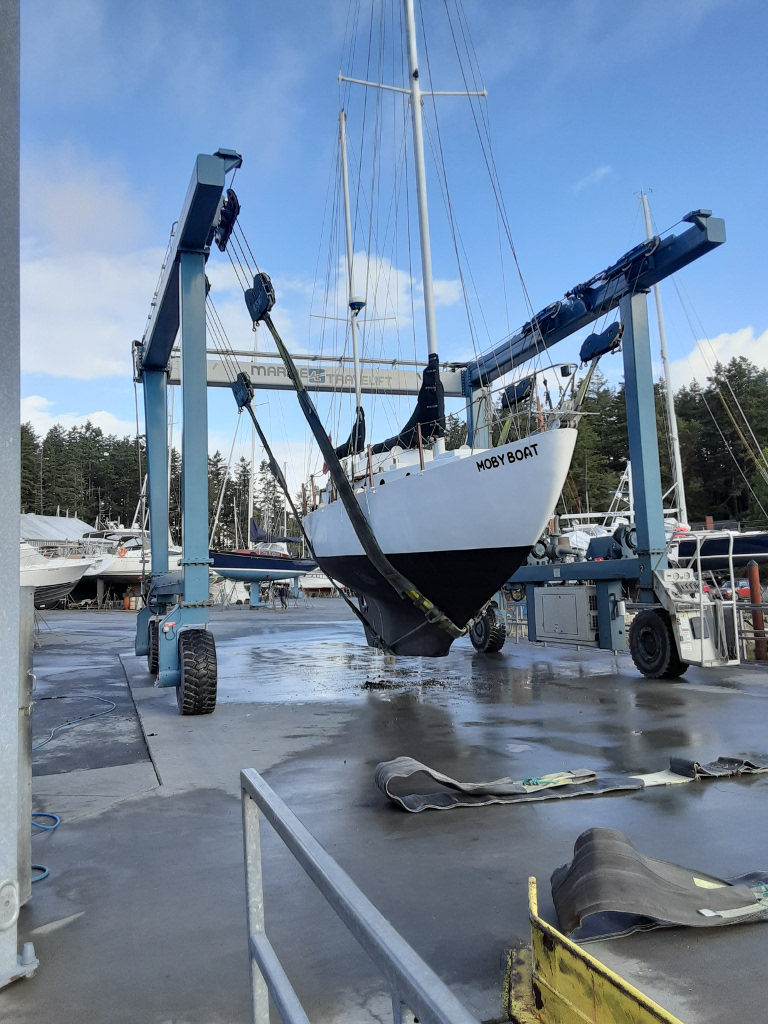 Haulout View