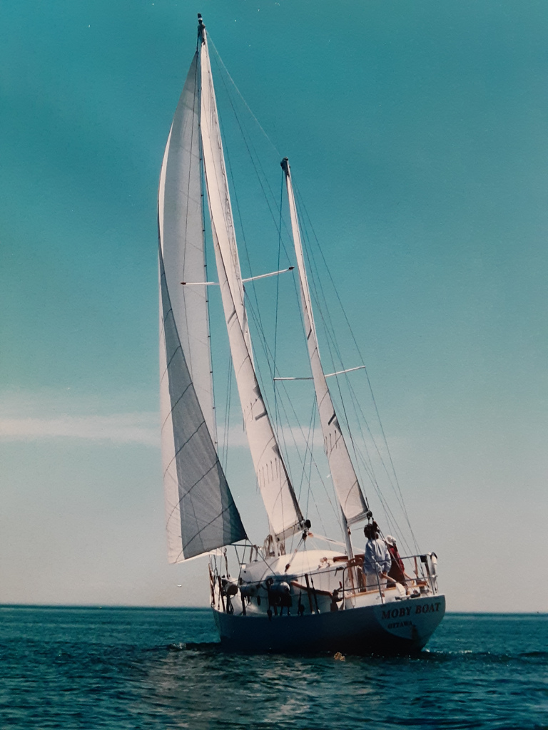 Moby Boat Under Sail
